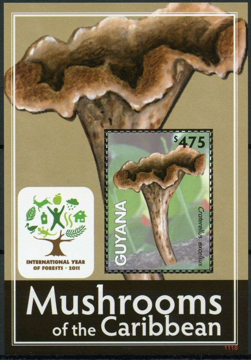 Guyana Mushrooms of Caribbean Stamps 2011 MNH Fungi Intl Year Forests 1v S/S I