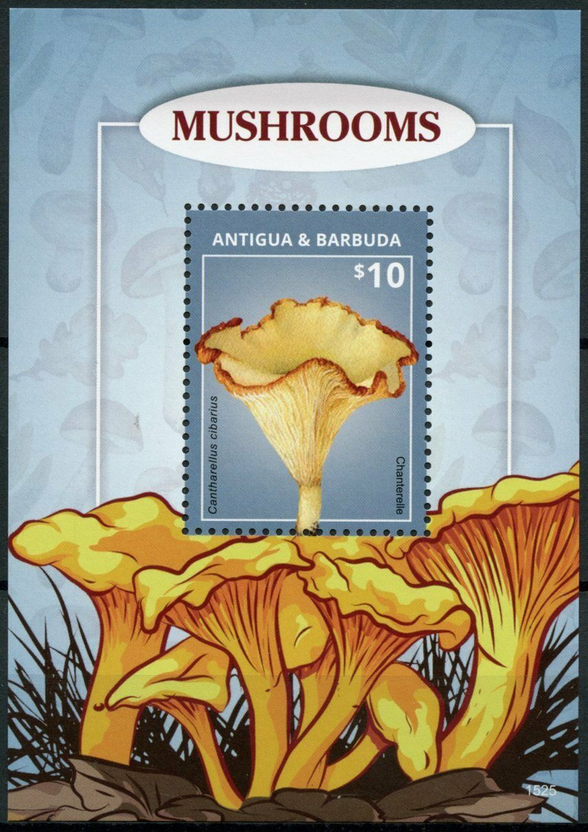 Antigua & Barbuda Mushrooms Stamps 2015 MNH Chanterelle Fungi Nature 1v S/S