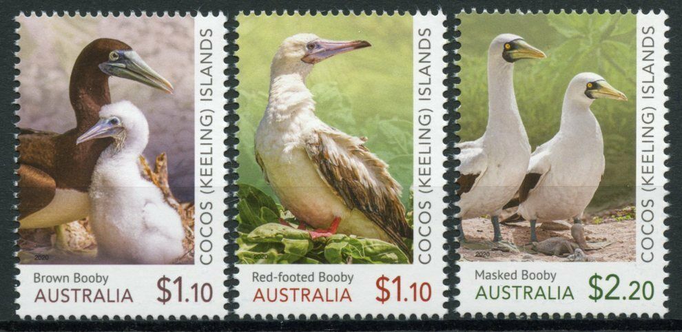 Cocos Keeling Islands Birds on Stamps 2020 MNH Red-Footed Booby Birds 3v Set
