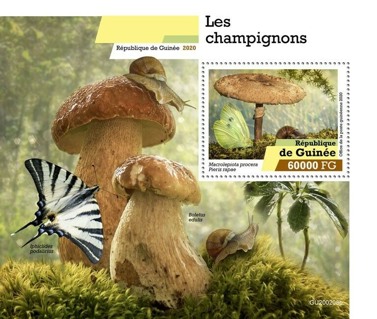 Guinea Mushrooms Stamps 2020 MNH Fungi Mushroom Nature Butterflies Snails 1v S/S