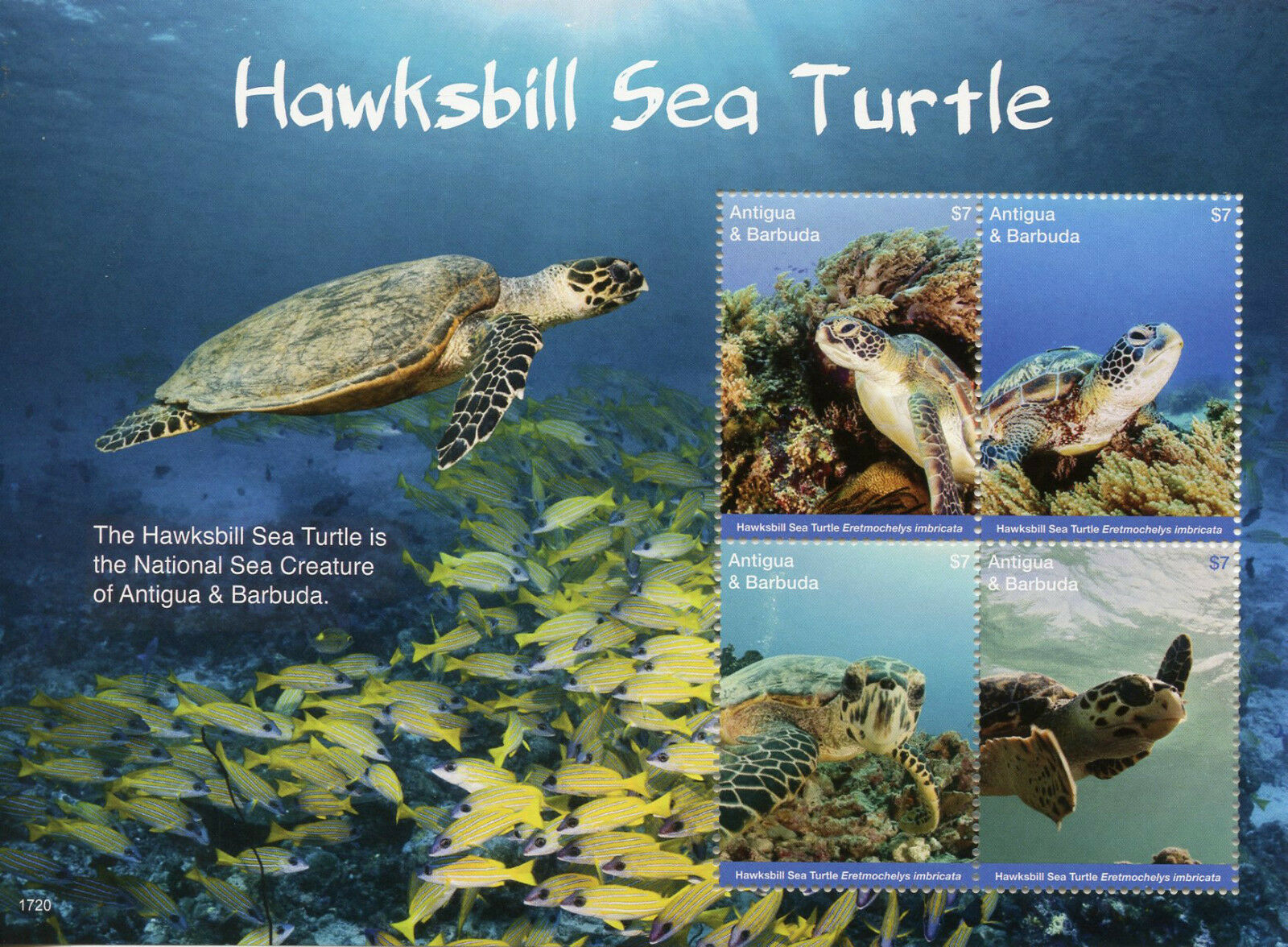 Antigua & Barbuda 2017 MNH Turtles Stamps Hawksbill Sea Turtle Reptiles 4v M/S II