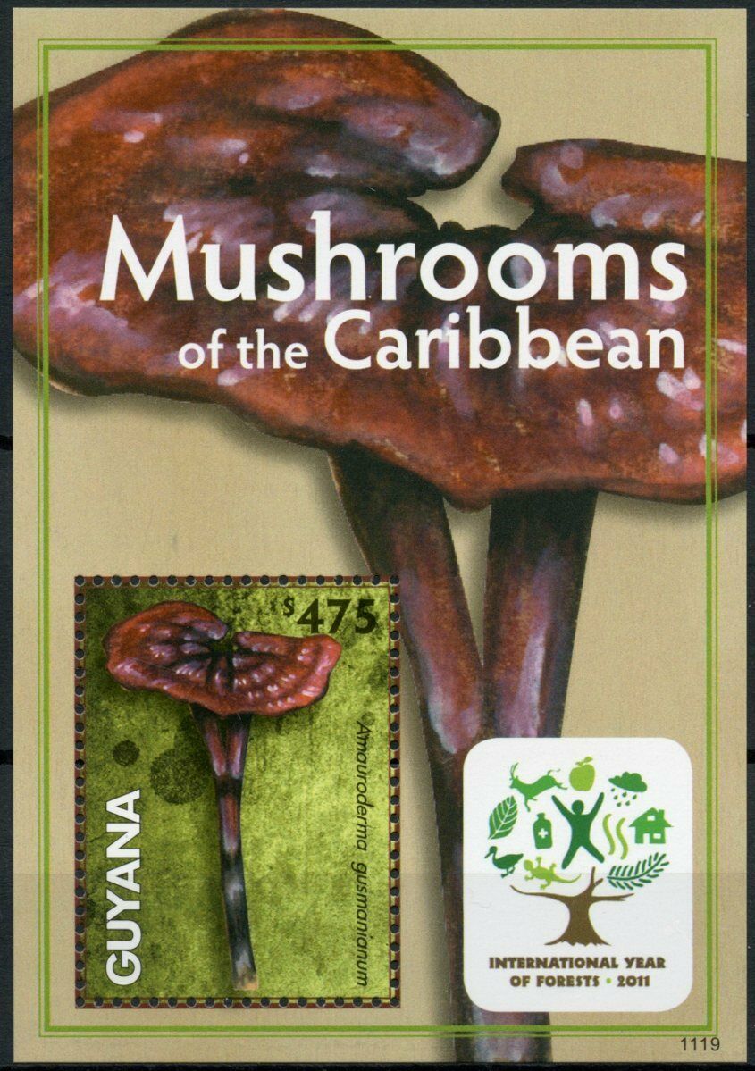 Guyana Mushrooms of Caribbean Stamps 2011 MNH Fungi Intl Year Forests 1v S/S II