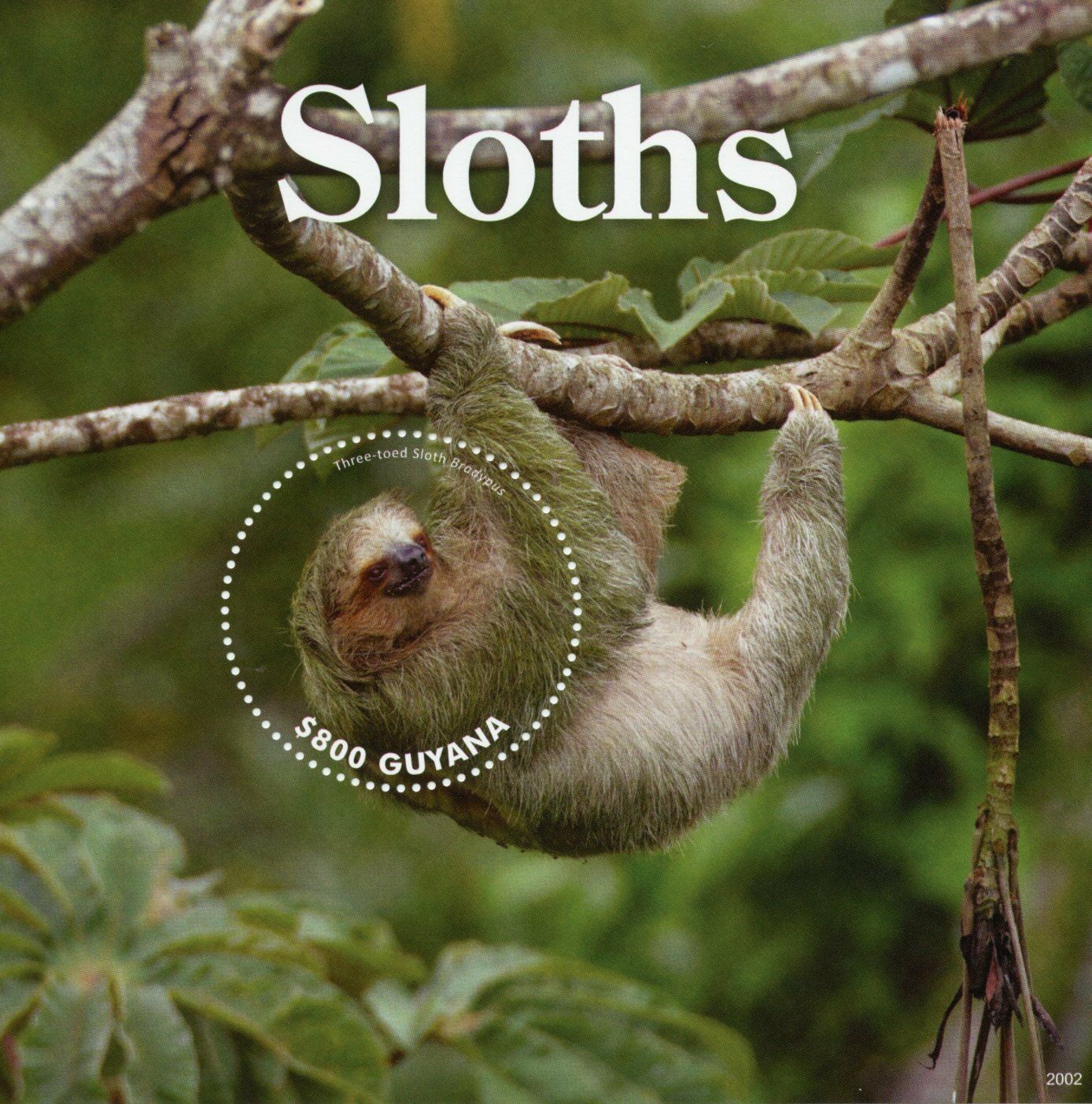 Guyana Wild Animals Stamps 2020 MNH Sloths Three-Toed Sloth Fauna 1v S/S