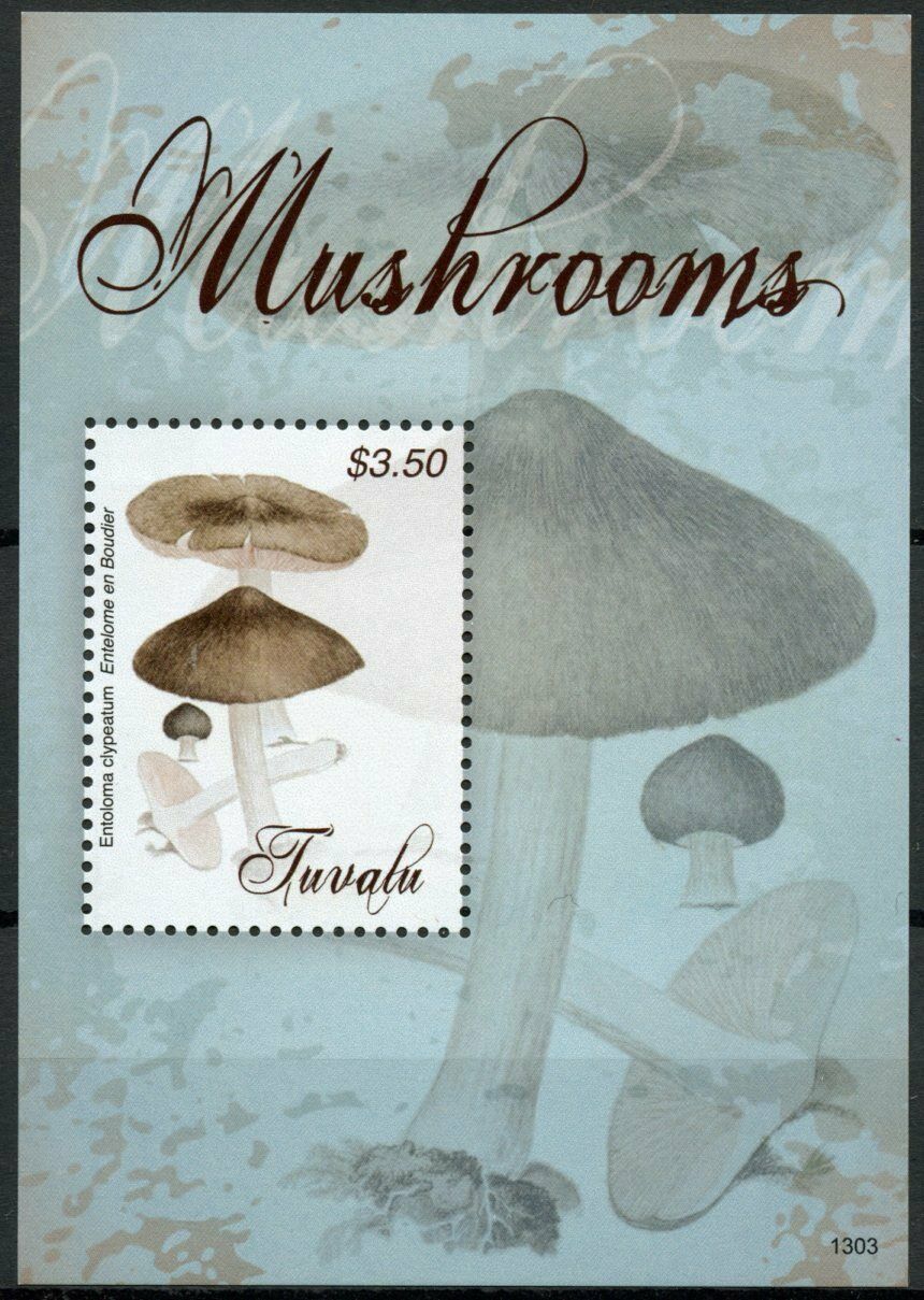 Tuvalu Mushrooms Stamps 2013 MNH Shield Pinkgill Fungi Nature 1v S/S