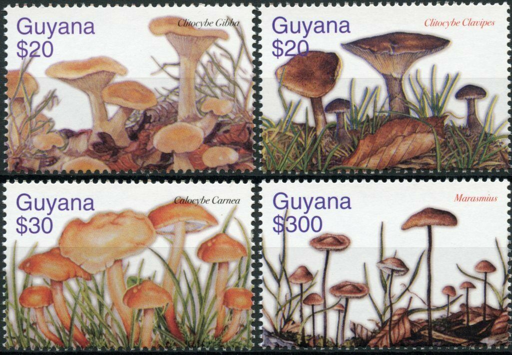 Guyana 2003 MNH Mushrooms Stamps Mushroom Clitocybe Fungi Nature 4v Set