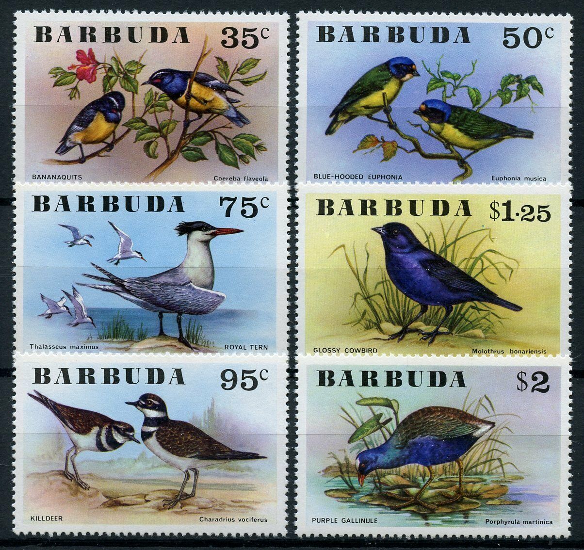Barbuda 1976 MNH Birds on Stamps Terns Bananaquits Gallinule Killdeer 6v Set