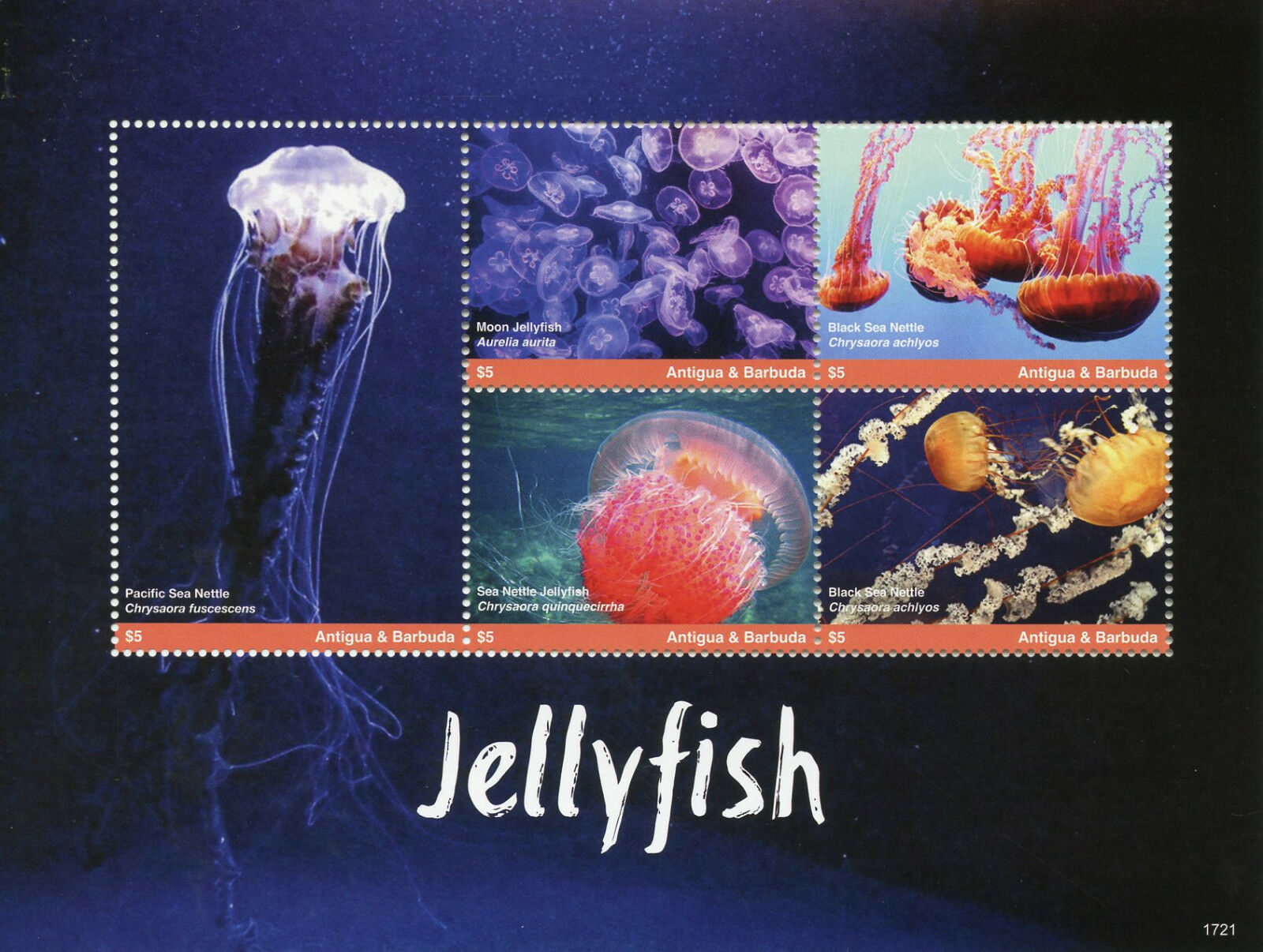 Antigua & Barbuda 2017 MNH Jellyfish 5v M/S I Marine Animals Stamps