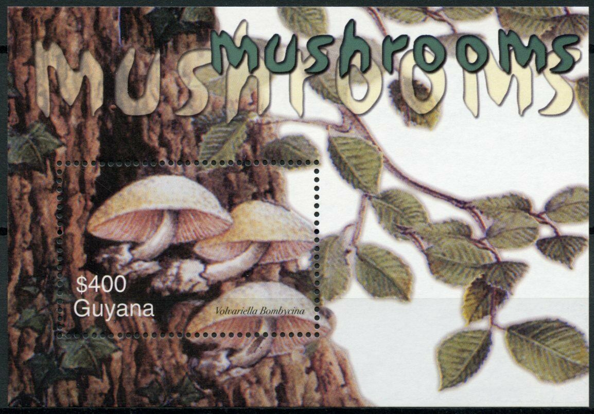 Guyana Mushrooms Stamps 2003 MNH Mushroom Volvariella Fungi Nature 1v S/S