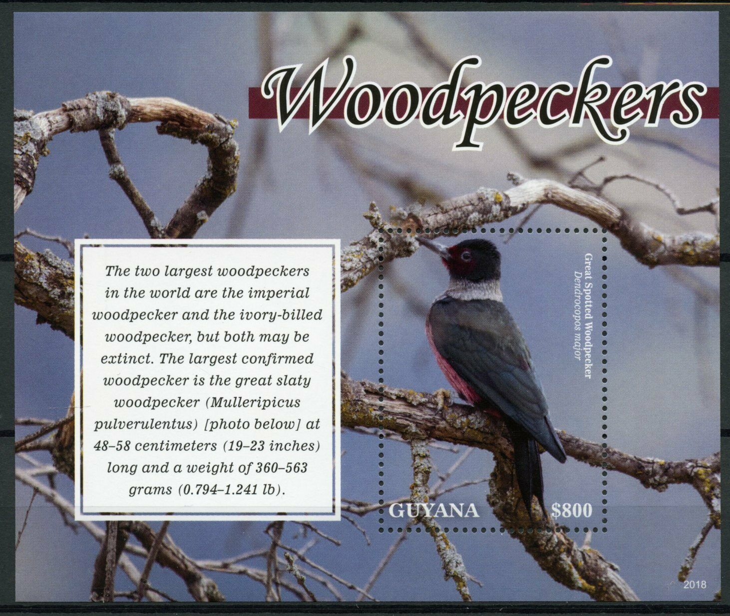 Guyana 2020 MNH Birds on Stamps Woodpeckers Great Spotted Woodpecker 1v S/S