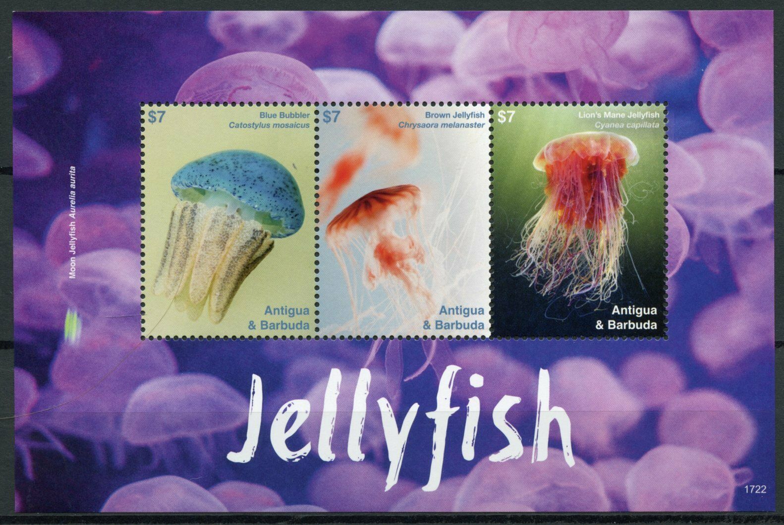 Antigua & Barbuda 2017 MNH Marine Animals Stamps Jellyfish 3v M/S II