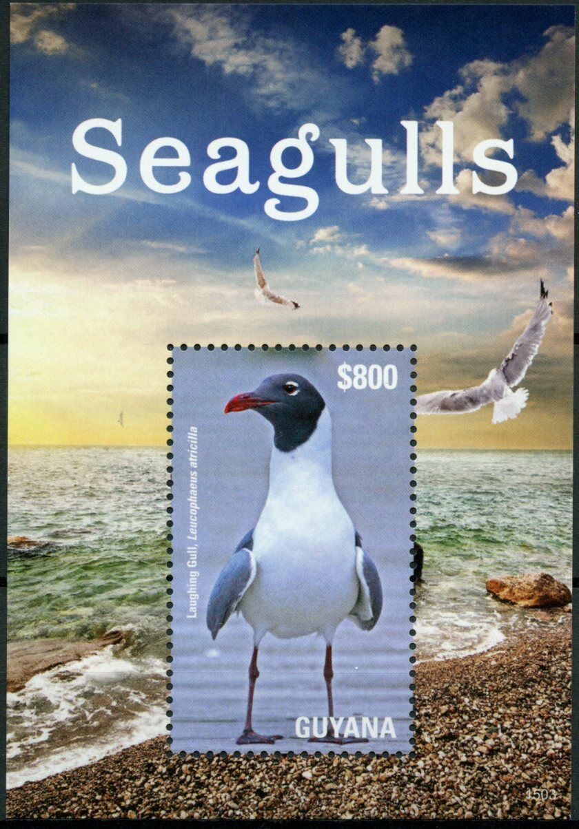 Guyana 2015 MNH Birds on Stamps Seagulls Gulls Laughing Gull 1v S/S II