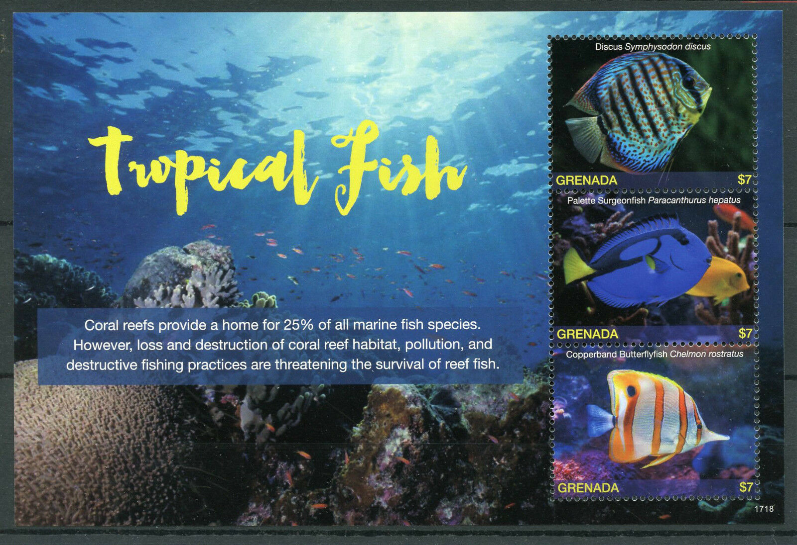Grenada 2017 MNH Tropical Fish Discus 3v M/S I Fishes Marine Corals Stamps