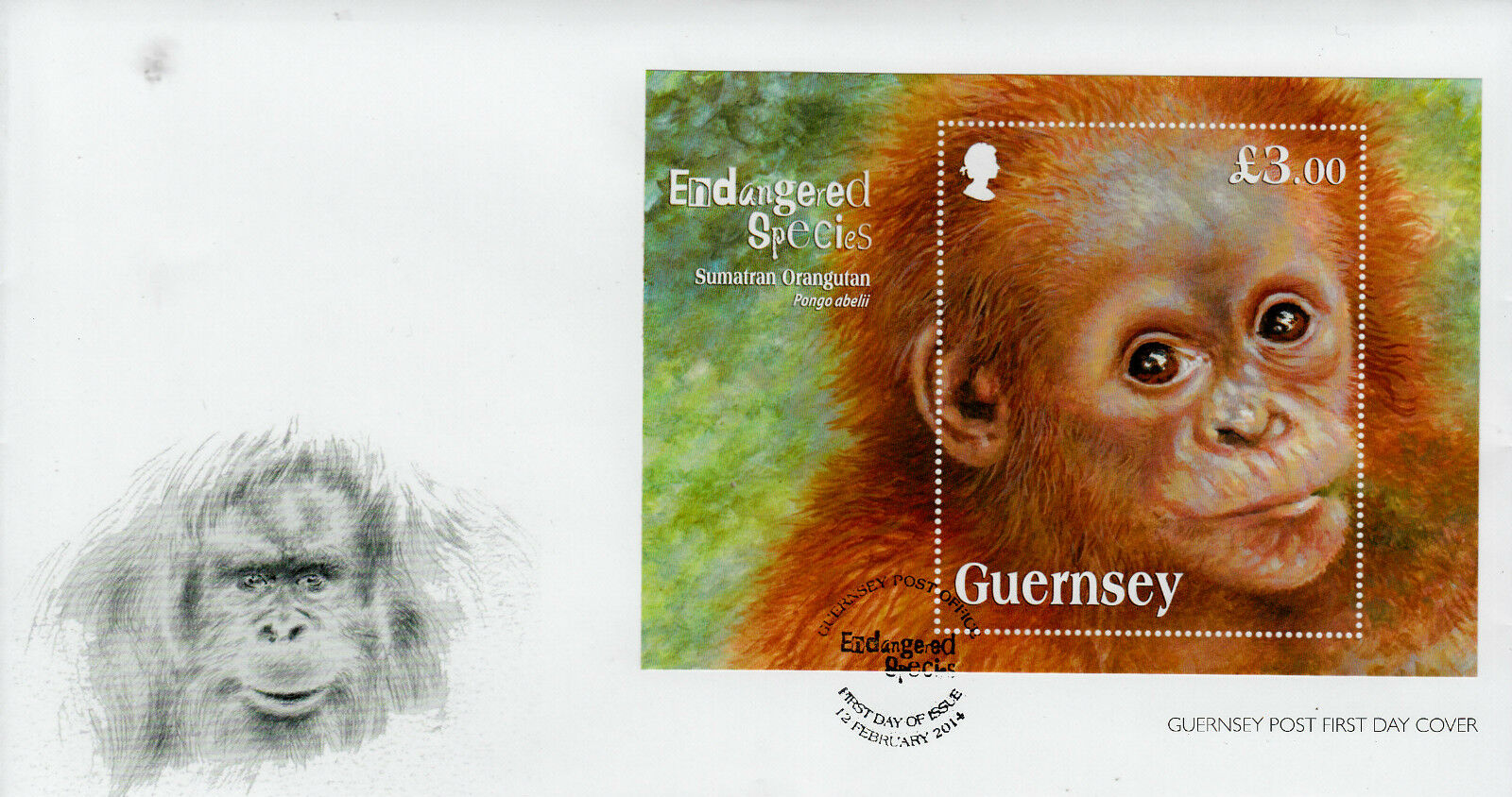 Guernsey 2014 FDC Endangered Species Sumatran Orangutan 1v M/S Cover Wildlife