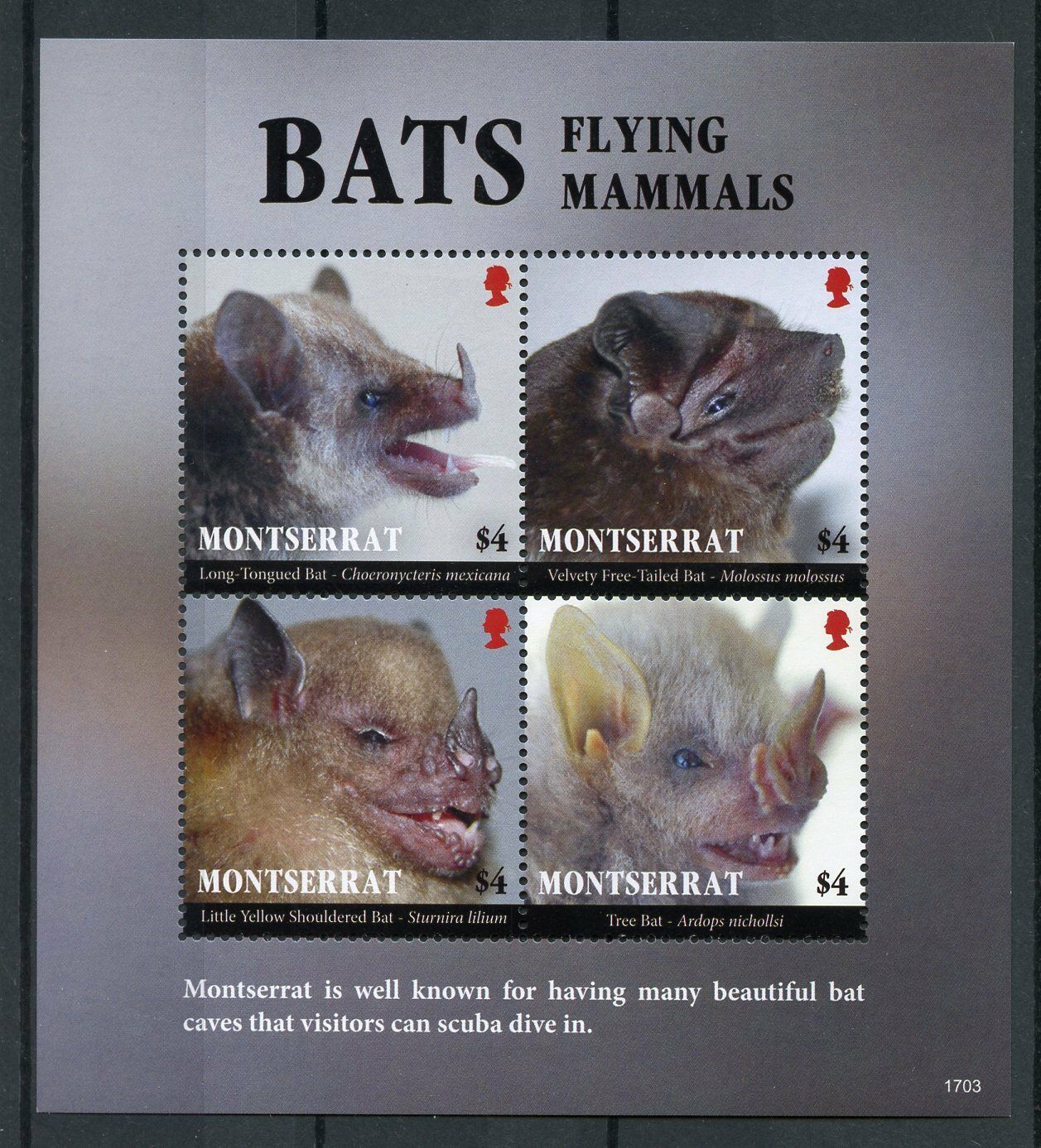 Montserrat 2017 MNH Bats Flying Mammals 4v M/S Bat Wild Animals Stamps