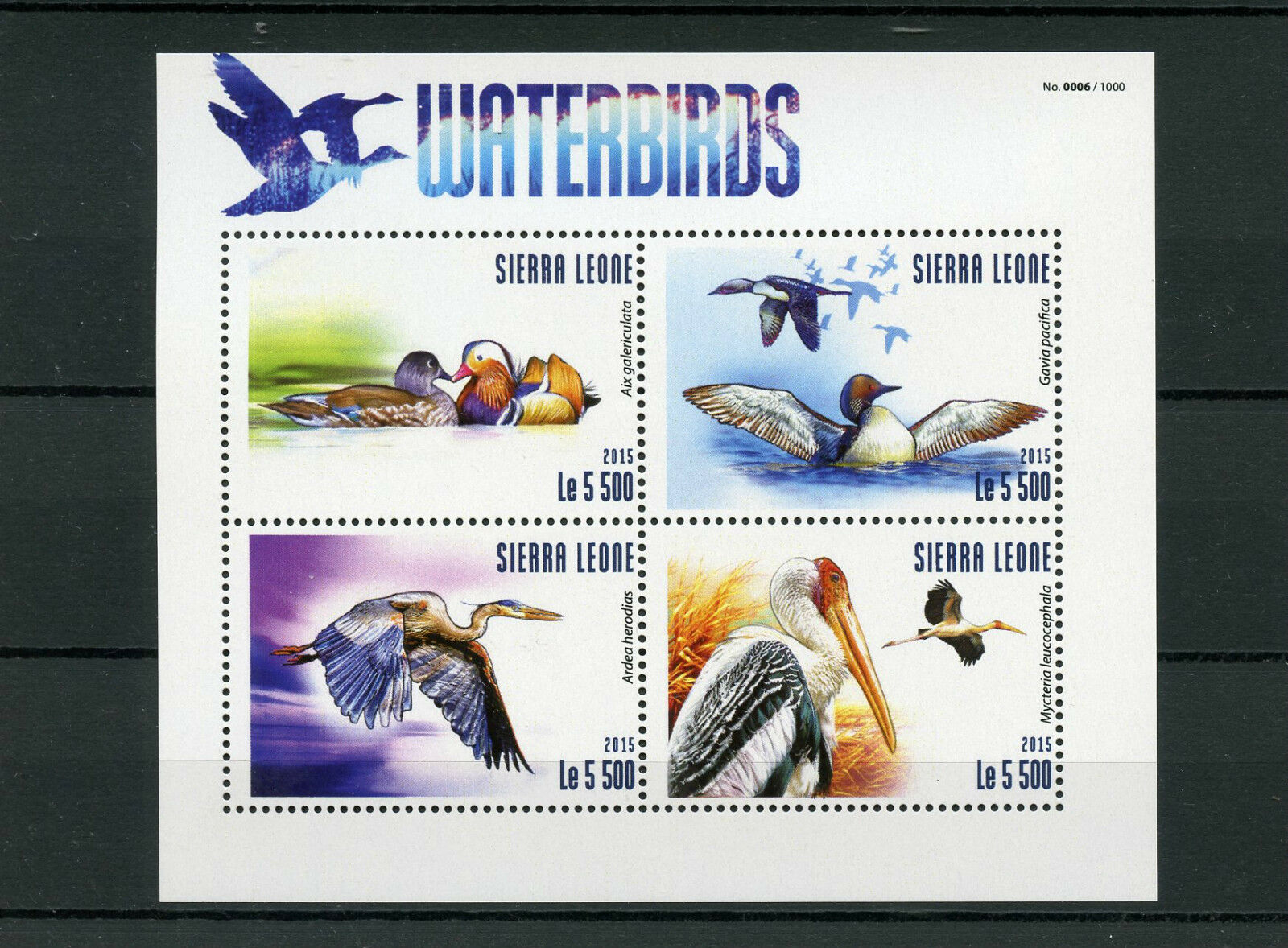 Sierra Leone 2015 MNH Waterbirds 4v M/S Water Birds Ducks Herons Storks