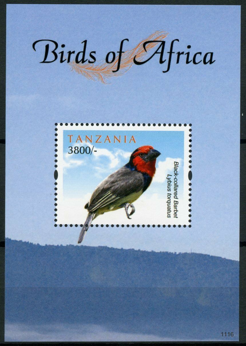 Tanzania Stamps 2011 MNH Birds of Africa Barbets Black-collared Barbet 1v S/S I