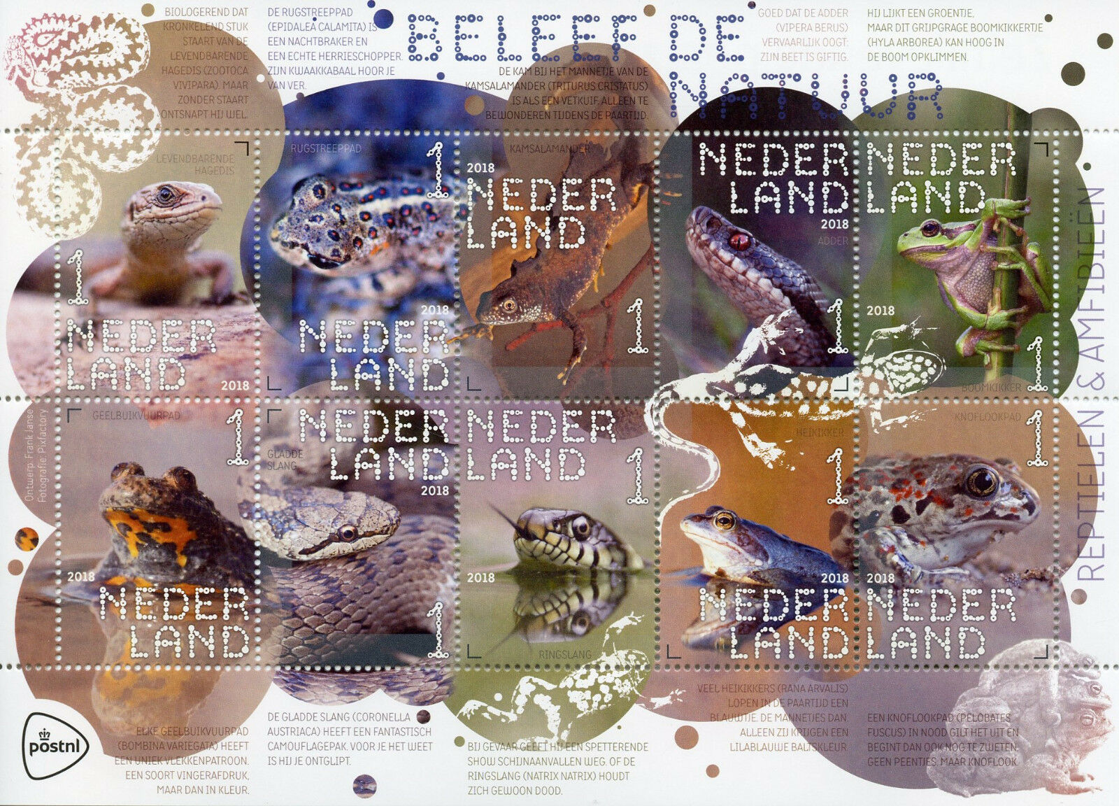 Netherlands 2018 MNH Reptiles & Amphibians 10v S/A M/S Frogs Snakes Toads Stamps