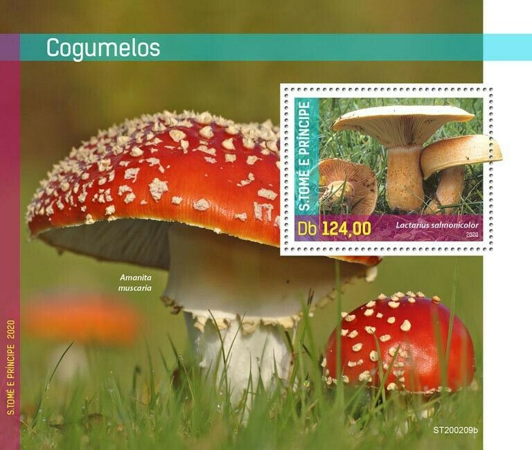 Sao Tome & Principe Mushrooms Stamps 2020 MNH Fungi Fly Agaric Nature 1v S/S
