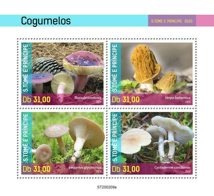Sao Tome & Principe Mushrooms Stamps 2020 MNH Fungi Mushroom Nature 4v M/S