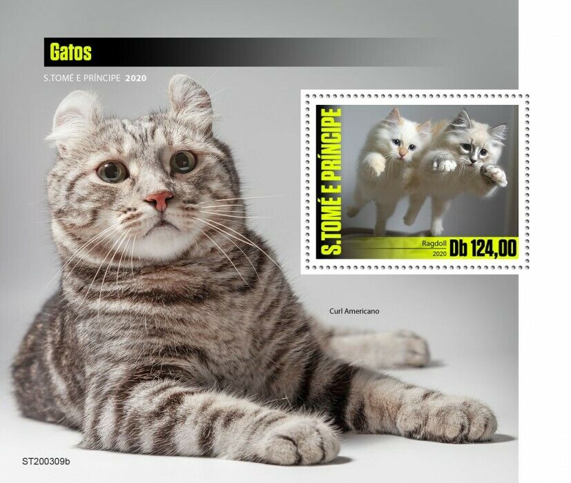 Sao Tome & Principe 2020 MNH Cats Stamps Ragdoll American Curl Cat Pets 1v S/S