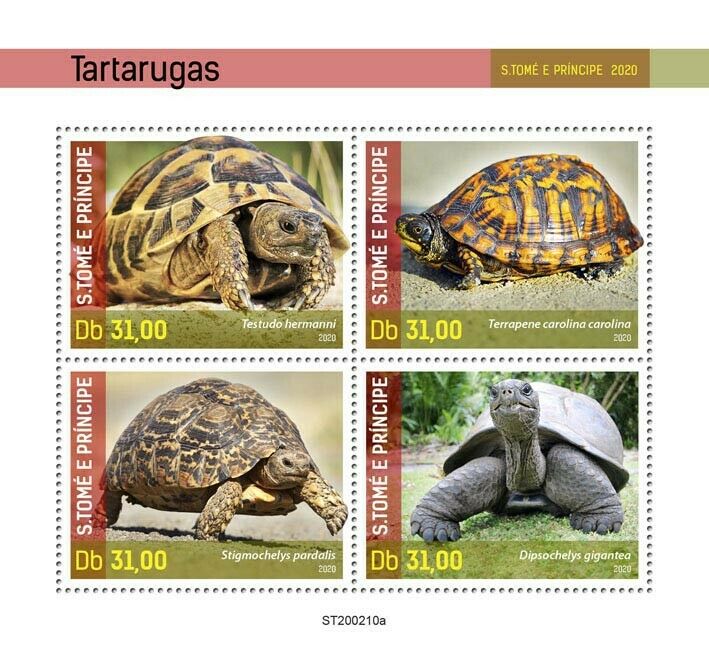 Sao Tome & Principe Turtles Stamps 2020 MNH Leopard Tortoise Reptiles 4v M/S
