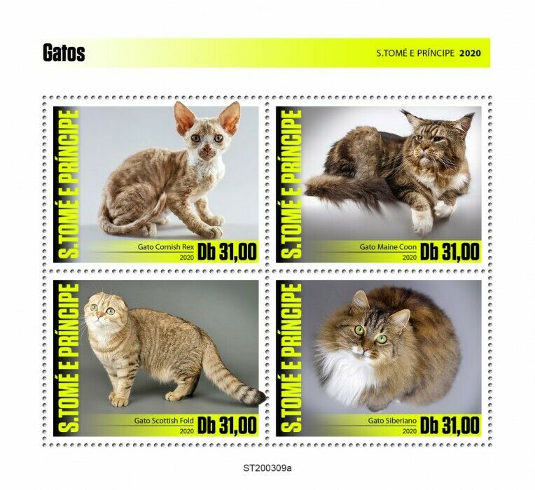 Sao Tome & Principe 2020 MNH Cats Stamps Cornish Rex Maine Coon Siberian 4v M/S