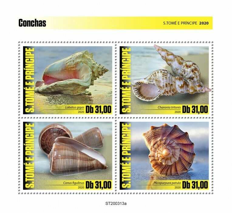 Sao Tome & Principe Seashells Stamps 2020 MNH Shells Conus Lobatus Marine 4v M/S