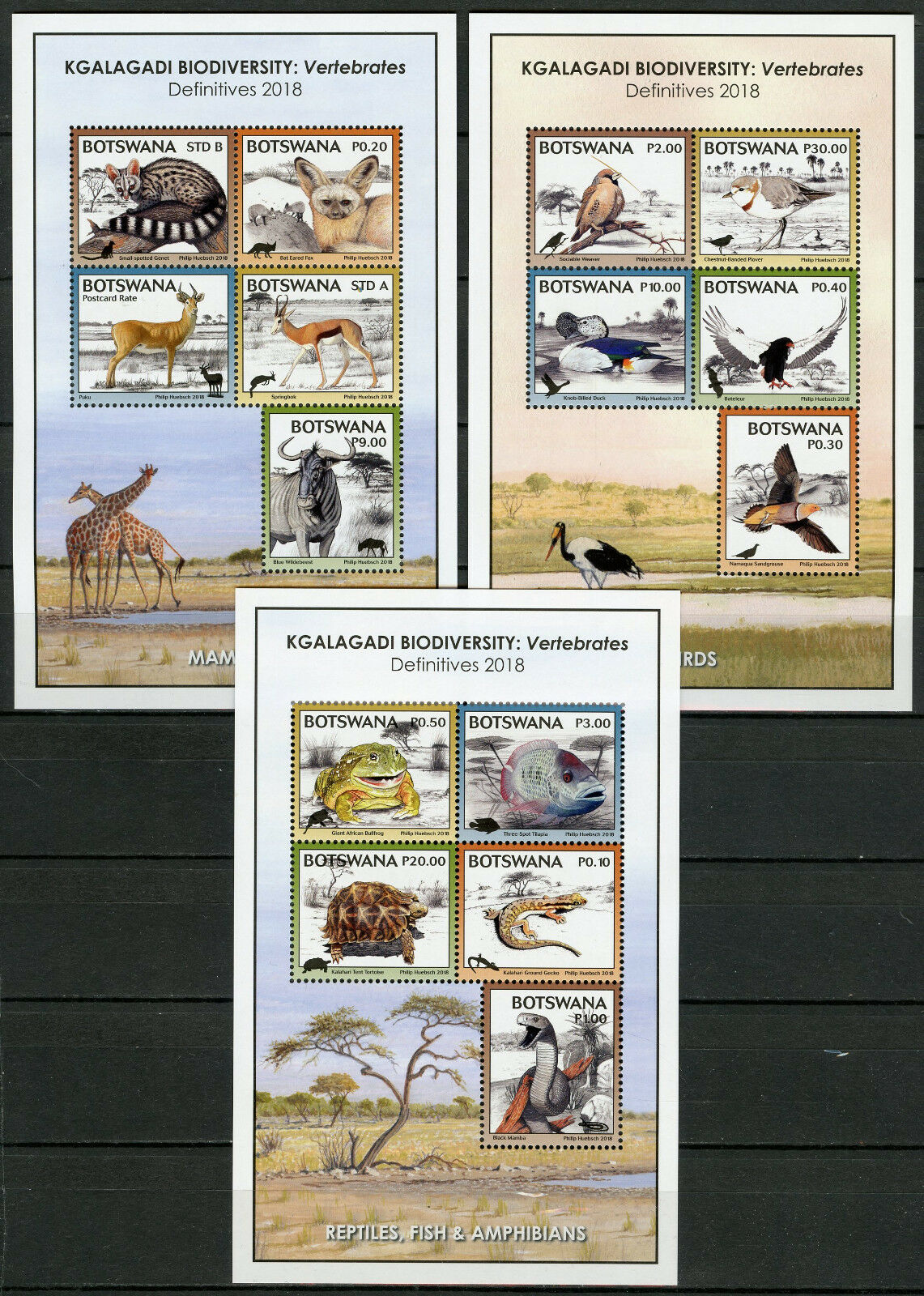 Botswana 2018 MNH Kgalagadi Biodiversity 3x 5v M/S Birds Fish Turtles Stamps