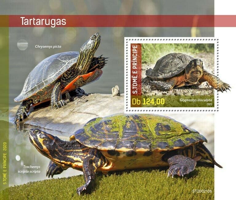 Sao Tome & Principe Turtles Stamps 2020 MNH Wood Turtle Reptiles 1v S/S