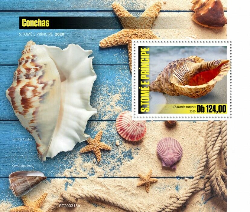 Sao Tome & Principe Seashells Stamps 2020 MNH Shells Charonia Marine 1v S/S