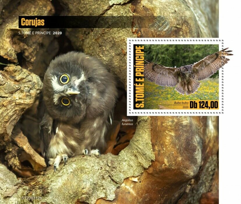 Sao Tome & Principe Birds on Stamps 2020 MNH Owls Eagle-Owl Boreal Owl 1v S/S