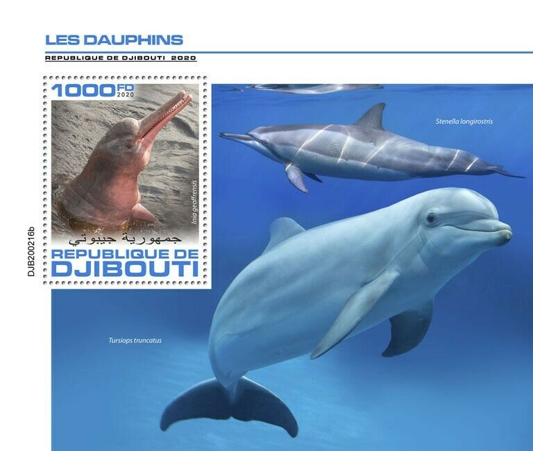Djibouti Marine Animals Stamps 2020 MNH Dolphins Amazon River Dolphin 1v S/S