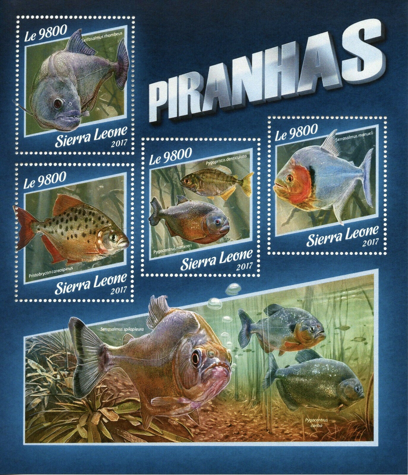 Sierra Leone 2017 MNH Fish Stamps Piranhas Piranha Fishes Fauna 4v M/S