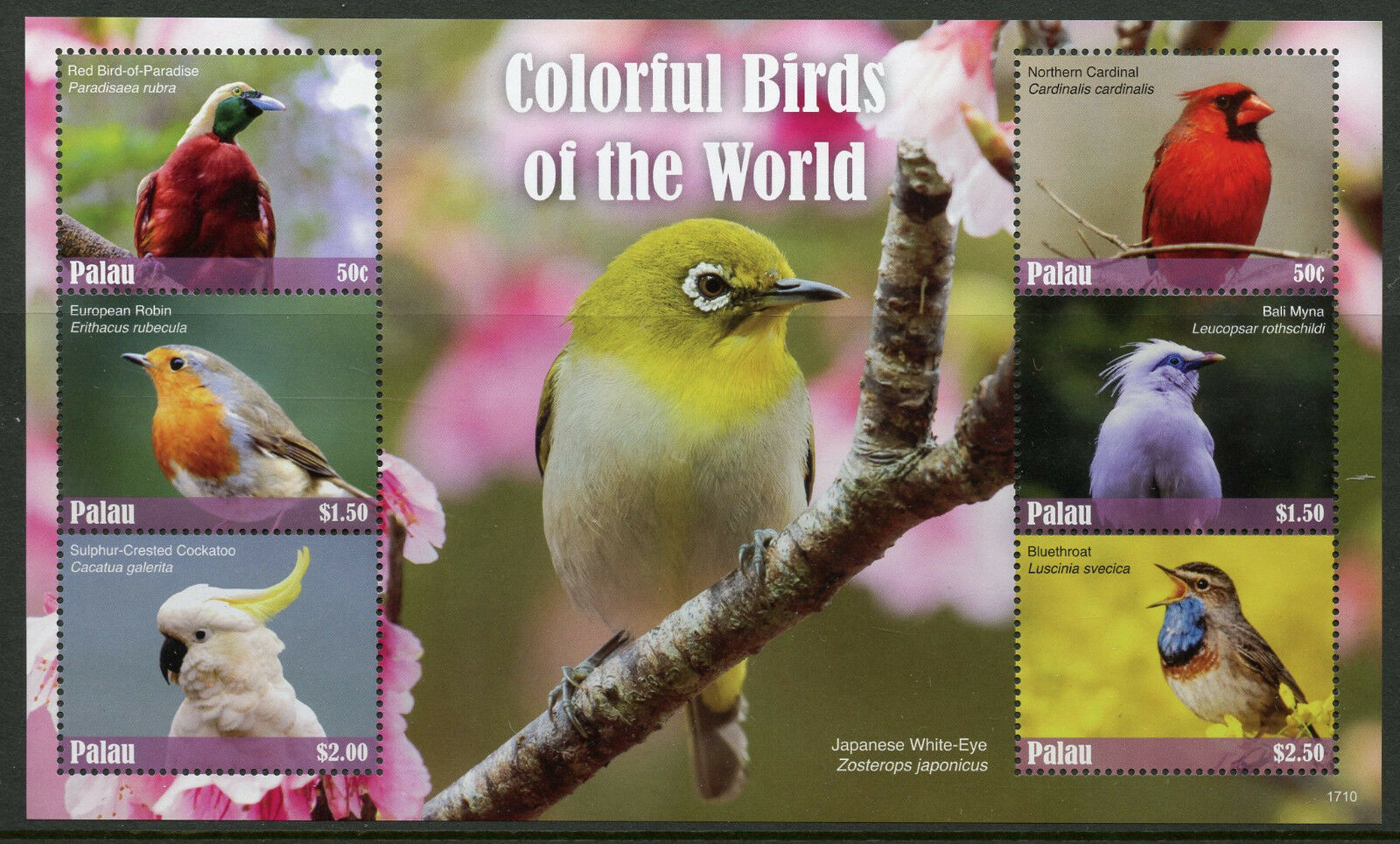 Palau Stamps 2017 MNH Colorful Birds of World Robin Cuckatoo Myna 6v M/S II