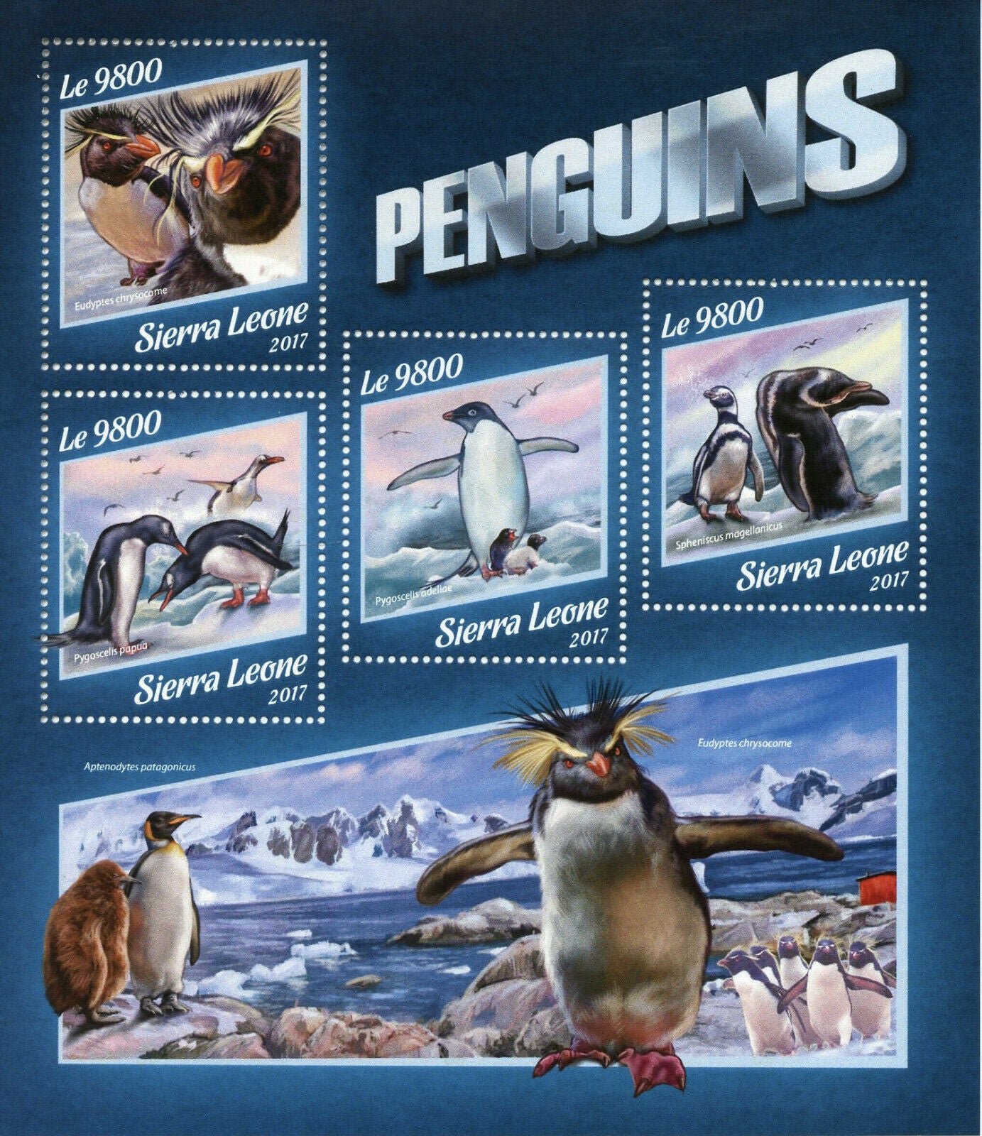 Sierra Leone 2017 MNH Birds on Stamps Penguins Rockhopper Gentoo Penguin 4v M/S