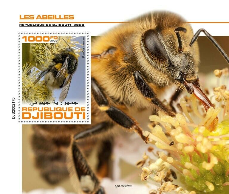 Djibouti Bees Stamps 2020 MNH Honey Bee Bumblebee Insects 1v S/S