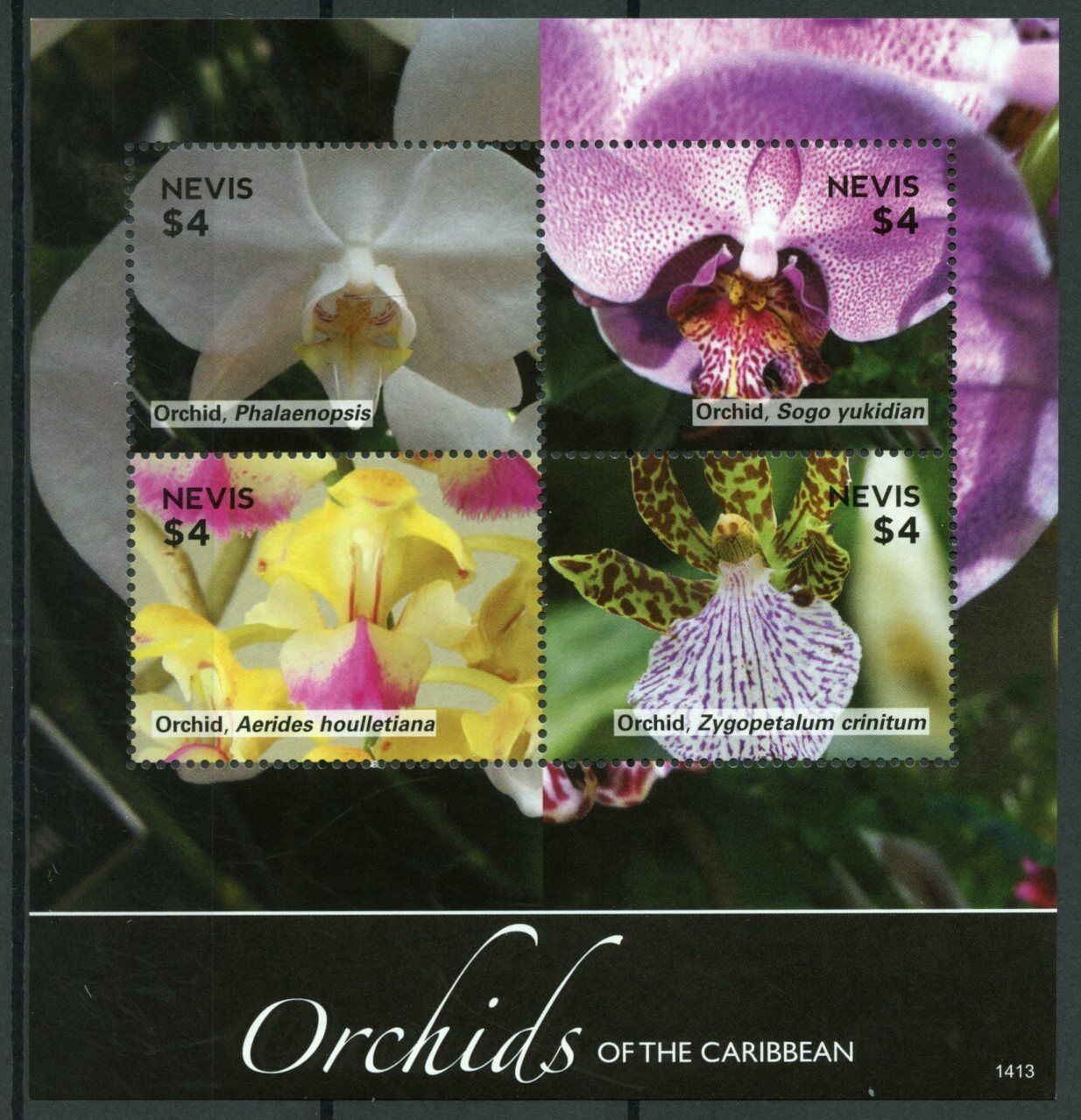 Nevis Flowers Stamps 2014 MNH Orchids of Caribbean Orchid Flora 4v M/S I