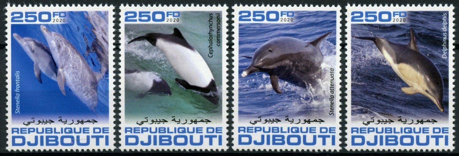 Djibouti 2020 MNH Marine Animals Stamps Dolphins Spotted Dolphin Mammals 4v Set