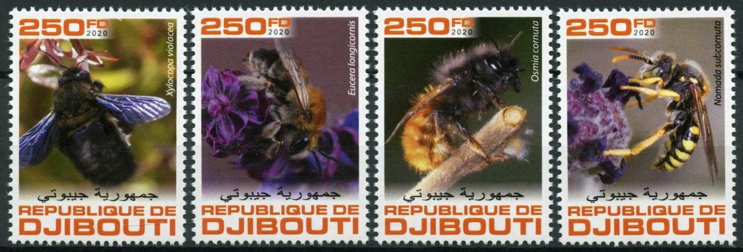 Djibouti Bees Stamps 2020 MNH Orchard Carpenter Bee Insects 4v Set