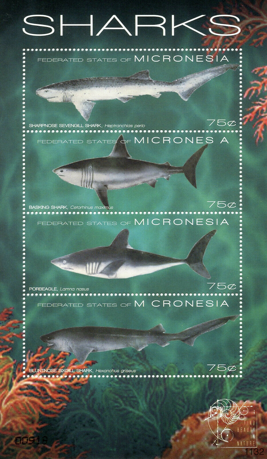 Micronesia Sharks Stamps 2011 MNH Porbeagle Basking Shark Marine Animals 4v M/S