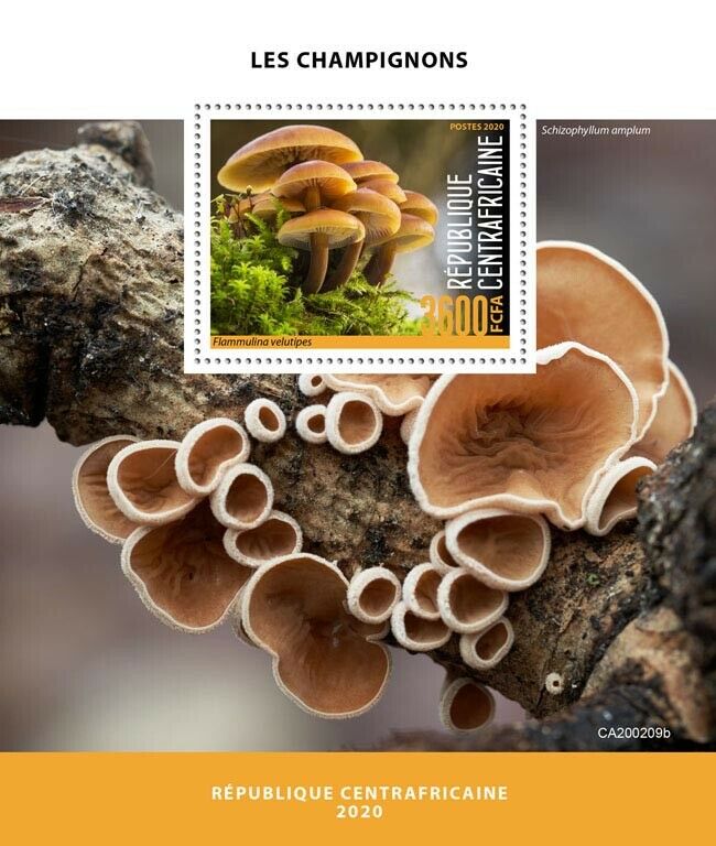Central African Republic Mushrooms Stamps 2020 MNH Fungi Nature 1v S/S