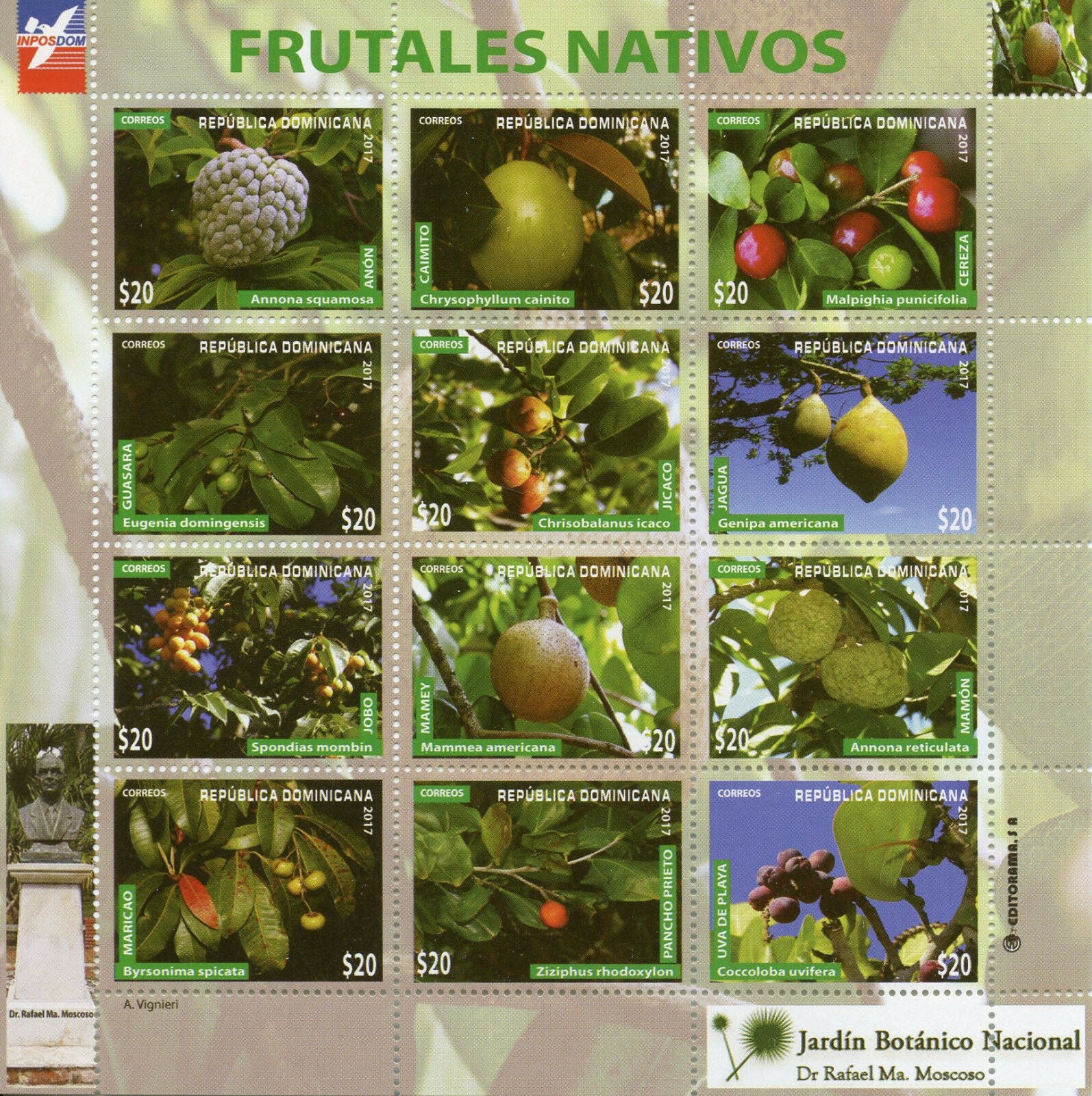 Dominican Republic 2017 MNH Native Fruit Trees Botanical Gardens 12v M/S Stamps