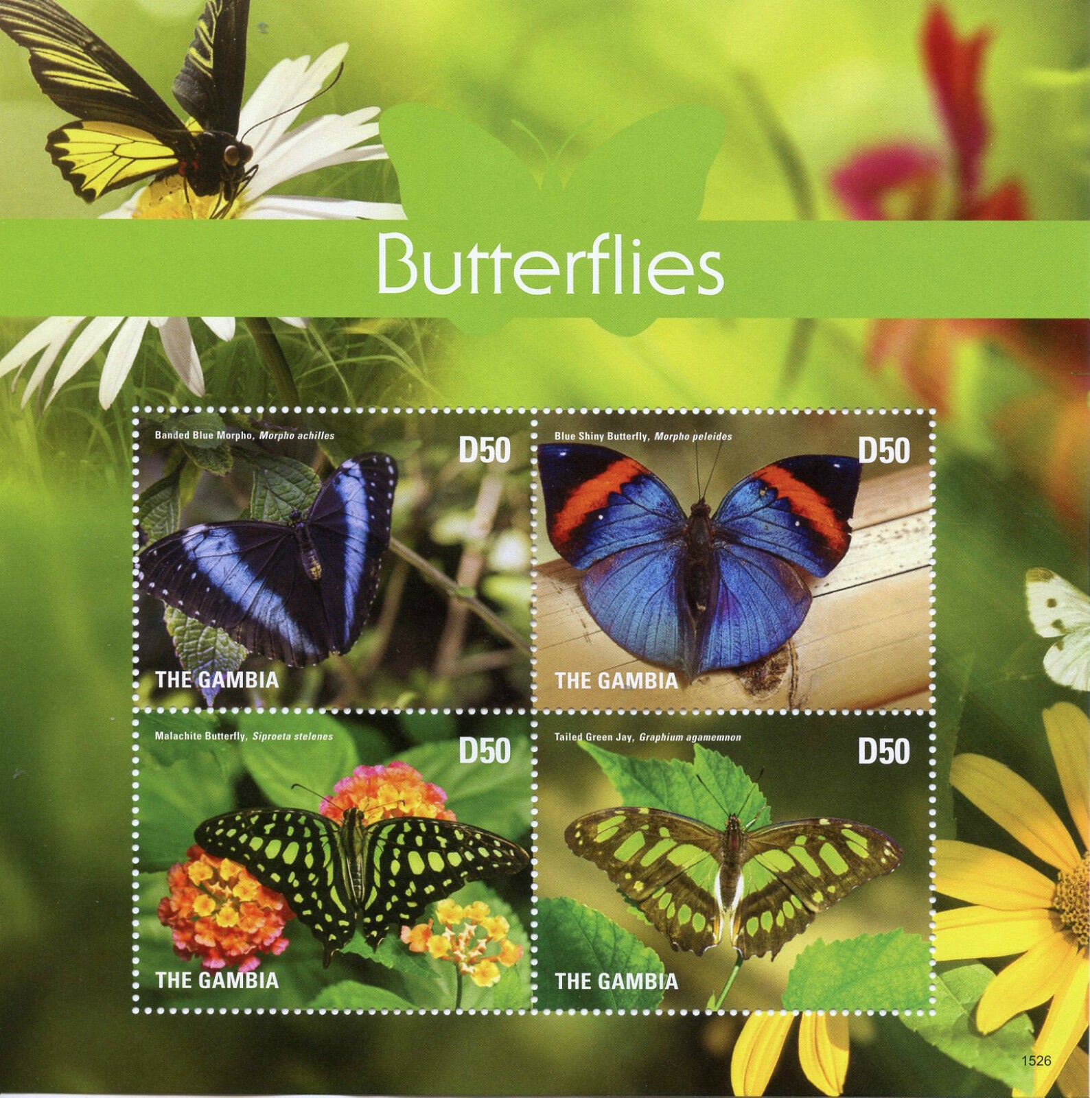Gambia 2015 MNH Butterflies Stamps Blue Morpho Malachite Butterfly 4v M/S II