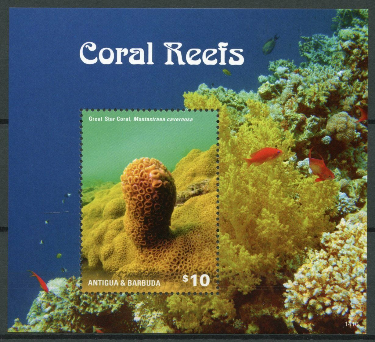Antigua & Barbuda Marine Stamps 2014 MNH Coral Reefs Great Star Corals 1v S/S II