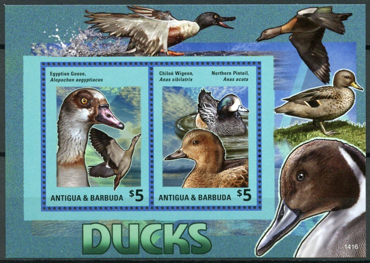 Antigua & Barbuda Birds on Stamps 2014 MNH Ducks Egyptian Goose Wigeon 2v S/S II