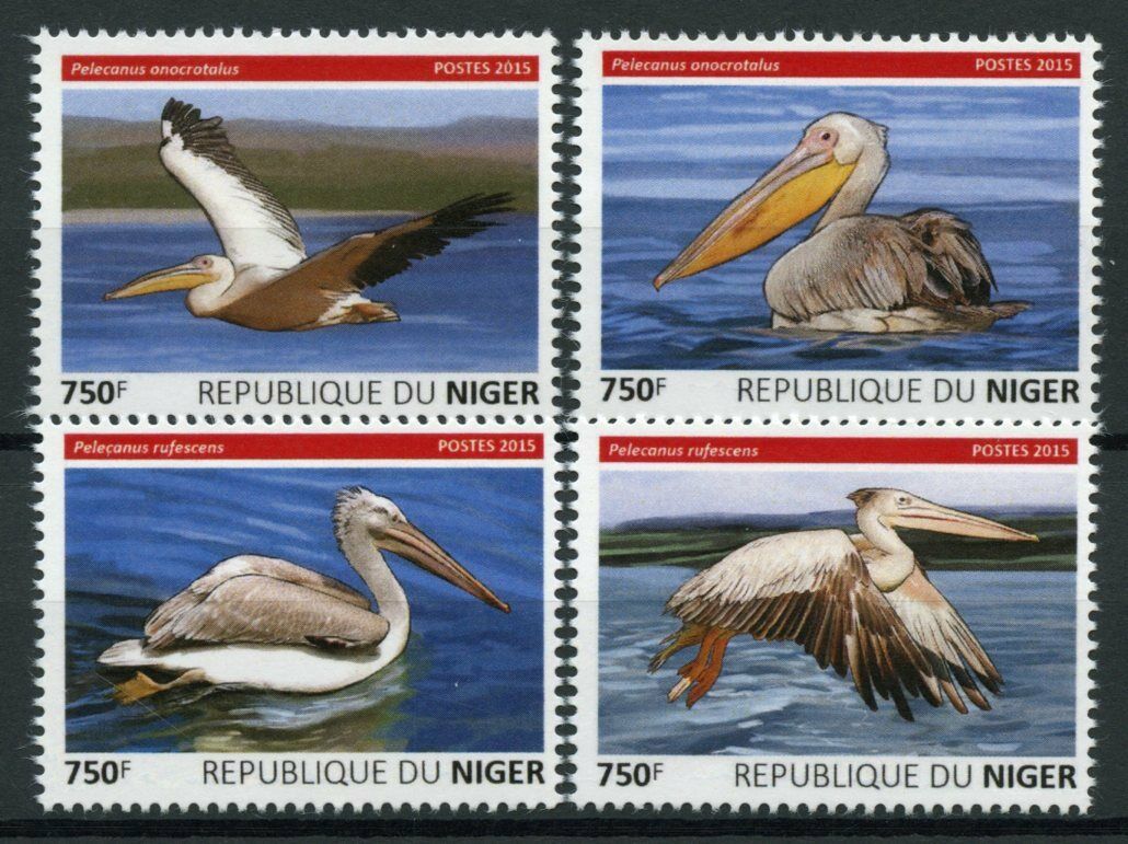 Niger Birds on Stamps 2015 MNH Pelicans Great White Pelican Fauna 4v Set