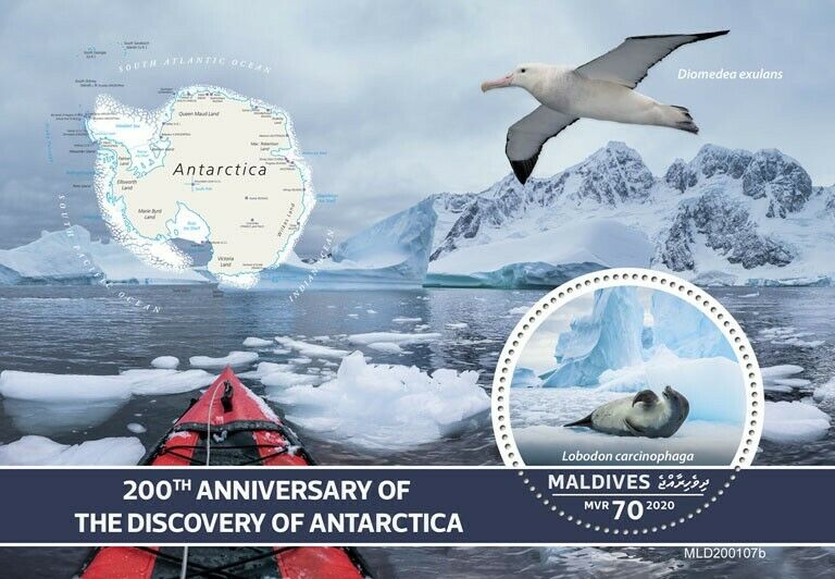 Maldives 2020 MNH Wild Animals Stamps Discovery Antarctica Seals Albatross 1v S/S