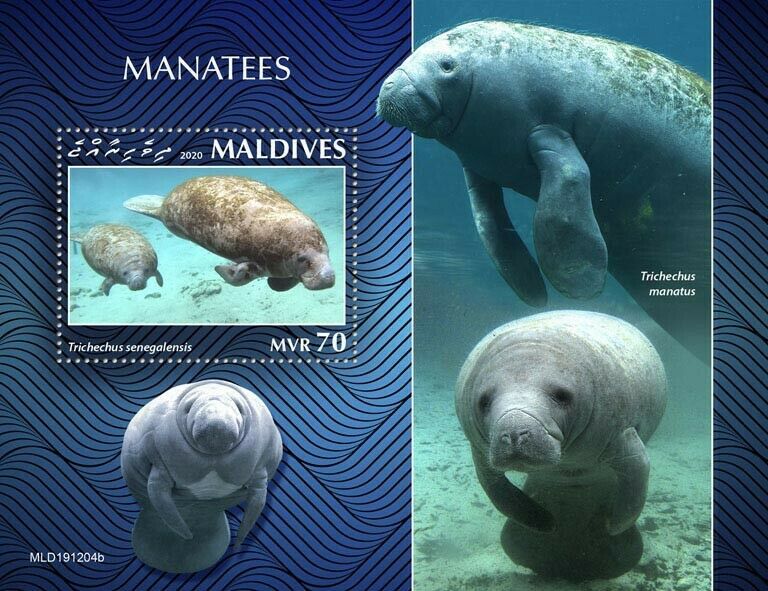 Maldives Marine Animals Stamps 2020 MNH Manatees Mammals 1v S/S