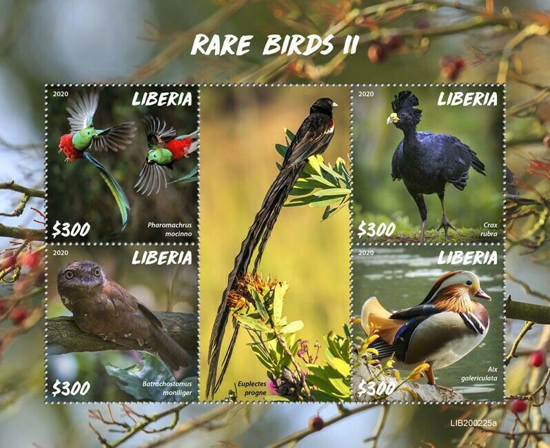 Liberia 2020 MNH Rare Birds on Stamps Part II Ducks Resplendent Quetzal 4v M/S