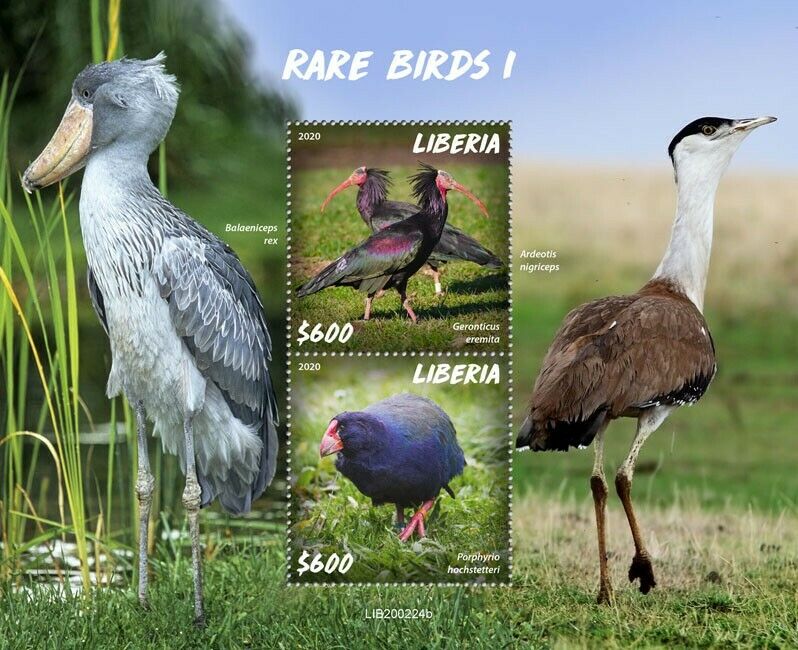Liberia Rare Birds on Stamps 2020 MNH Part I Bald Ibis Takahe Shoebill 2v S/S